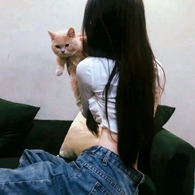 新封神姜子牙